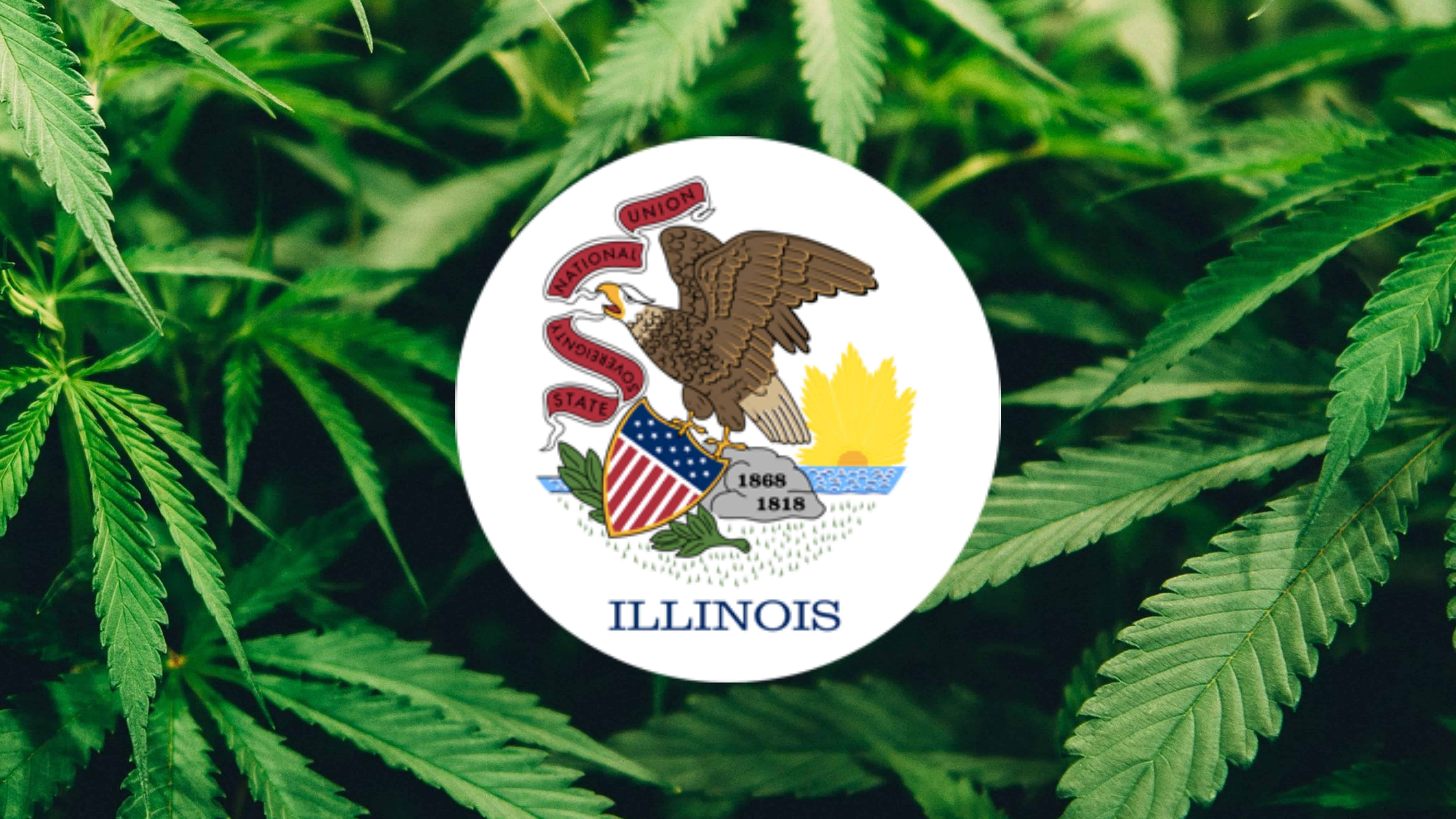 Illinois Medical Marijuana HIPAA Compliance