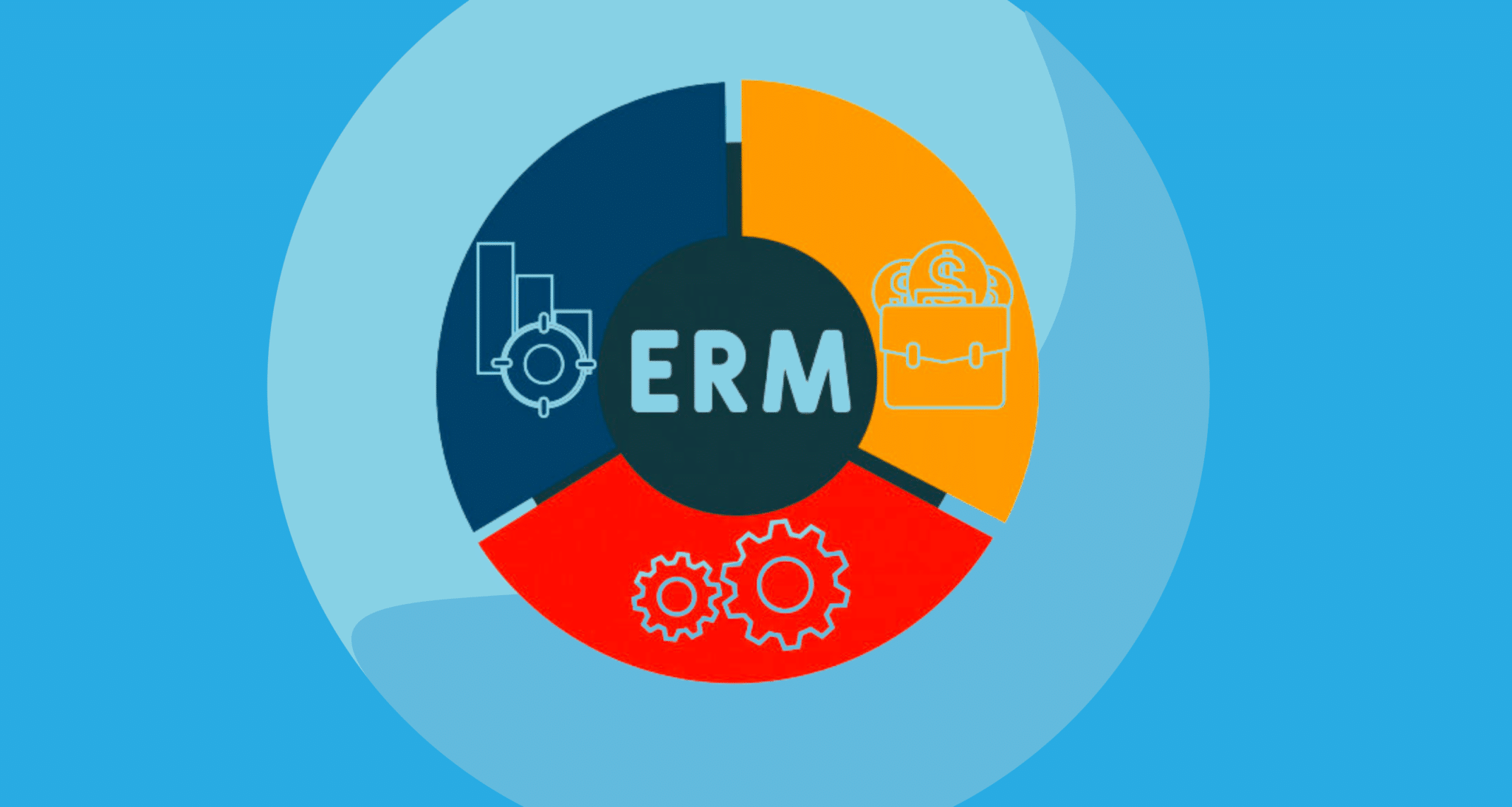 enterprise risk management in healthcare