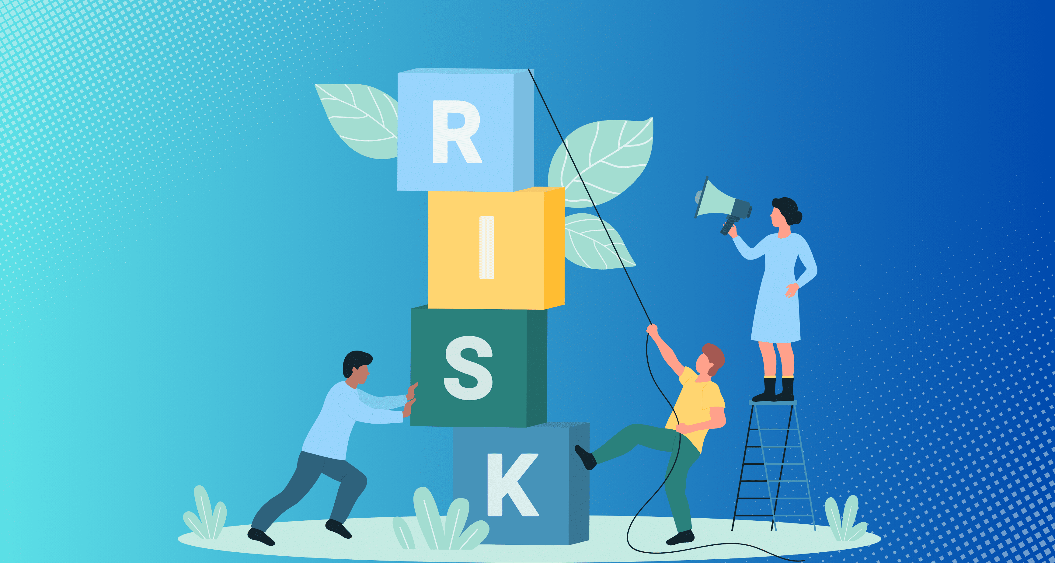 compliance risk management system
